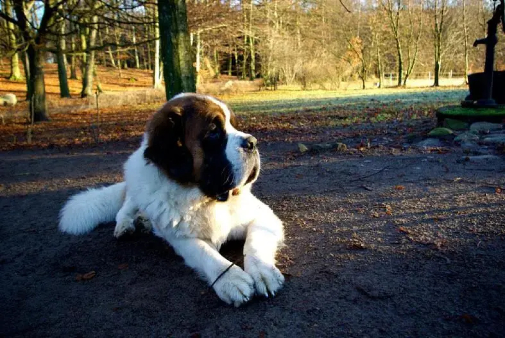 Trolleberg Bed & Breakfast