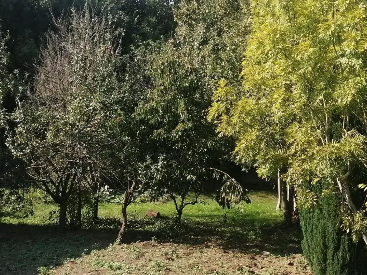 Le Hameau du Petit Carpont - Baie de Saint Brieuc-entre Paimpol et Erquy