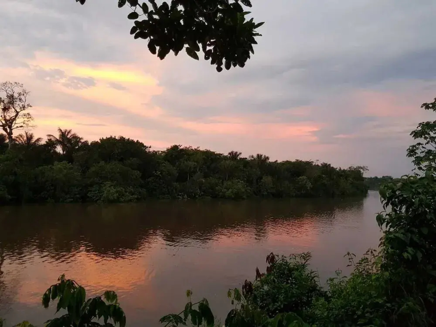 Irapay Amazon Lodge - Asociado Casa Andina