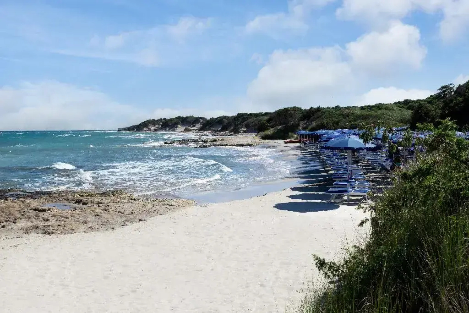 VOI Daniela Essentia