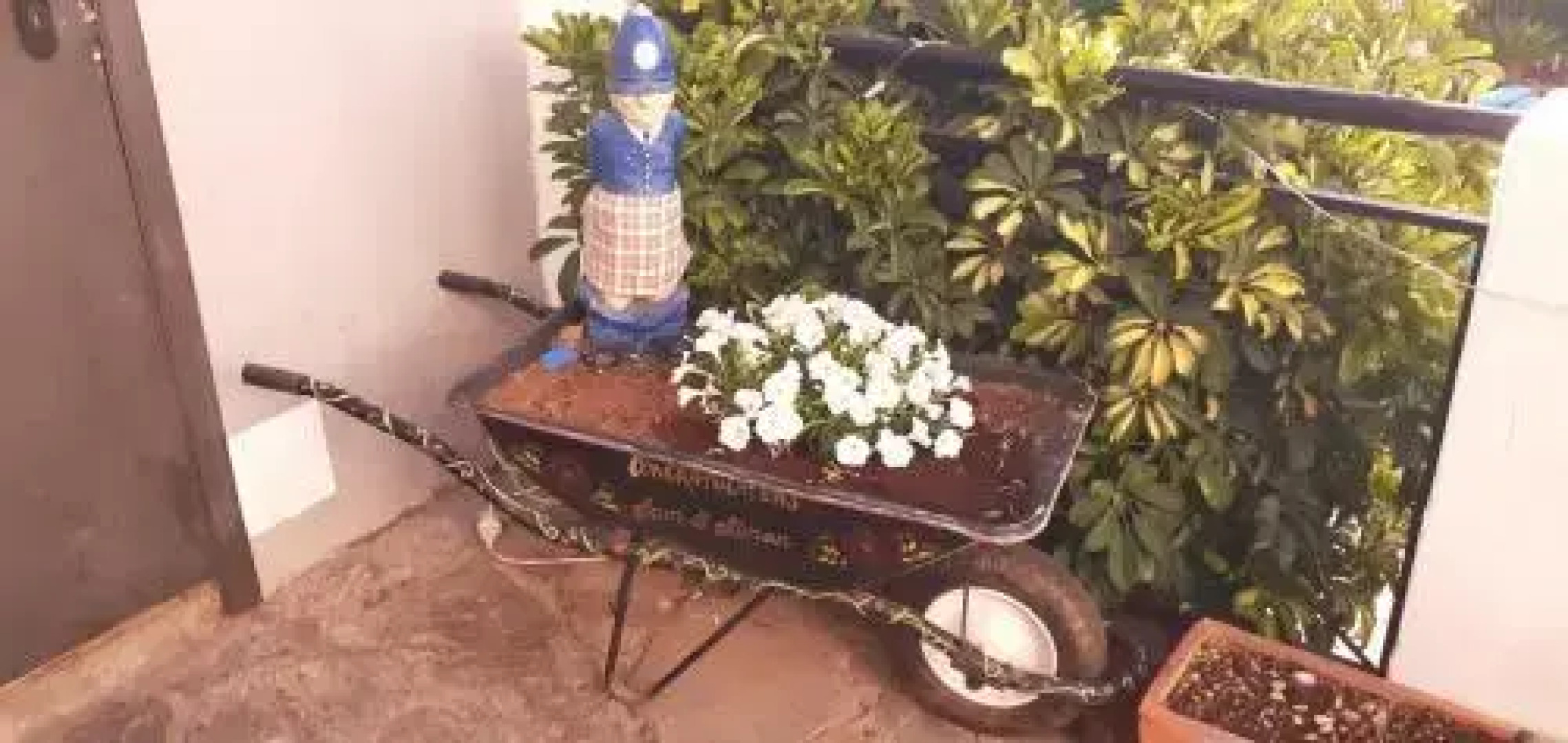 Ziggy's Mountain Retreat