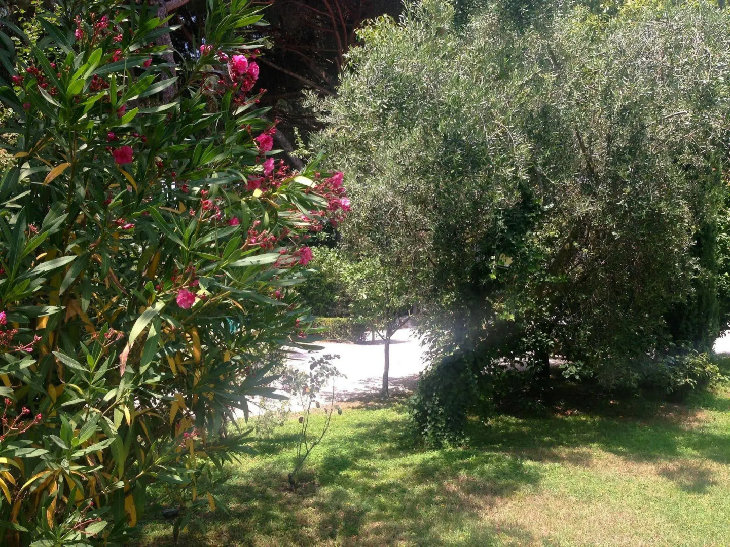 Villa Abbamer