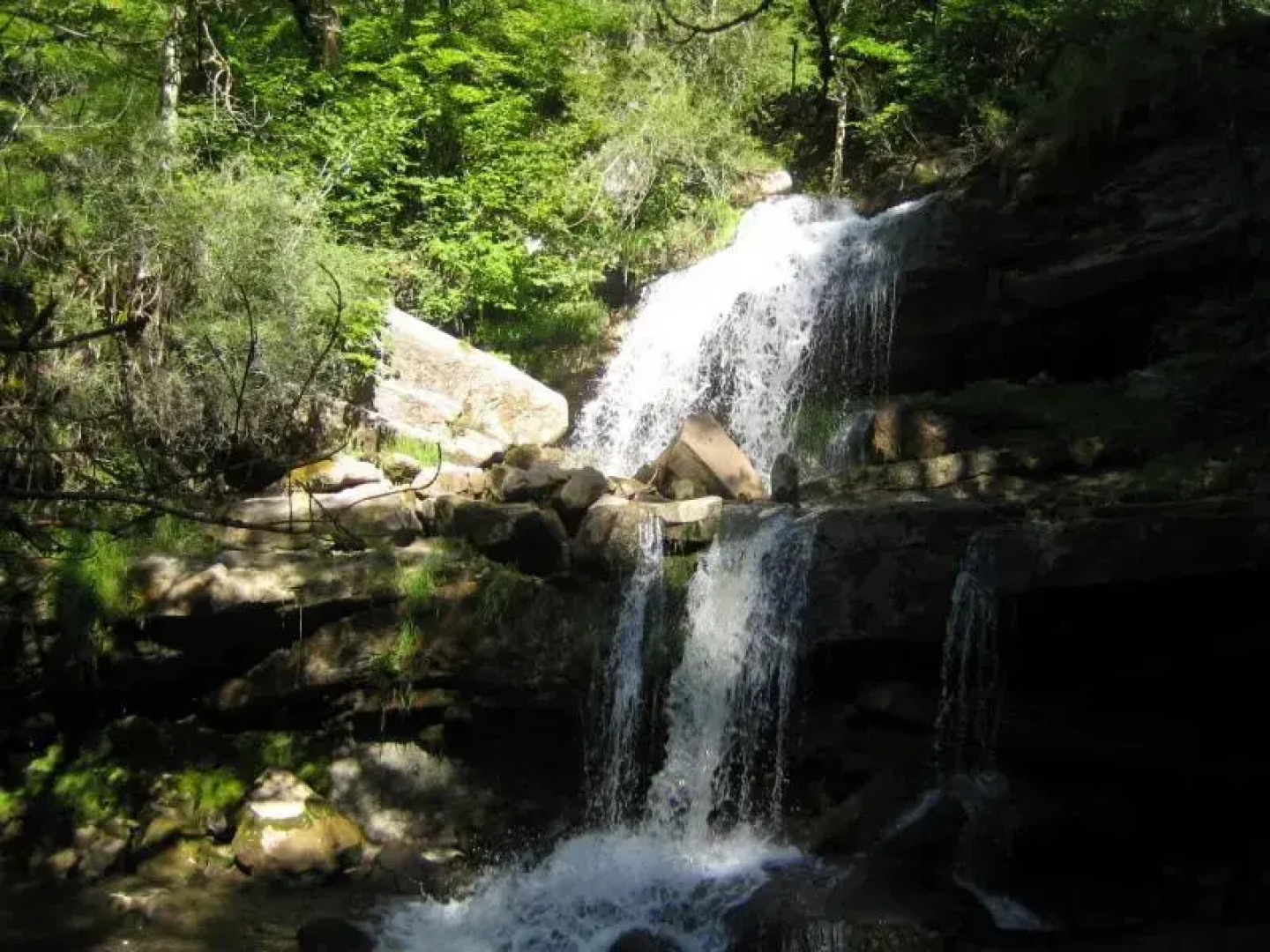 ANCOLIE 23 Les Chalets de Super D