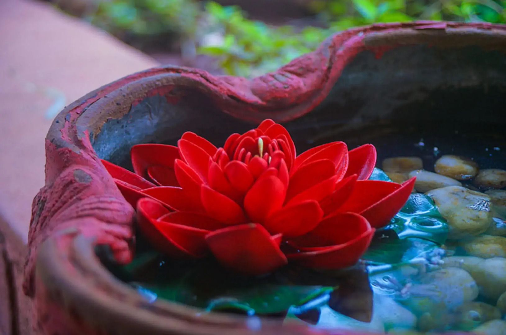 Nature Trails Durshet, Khapoli