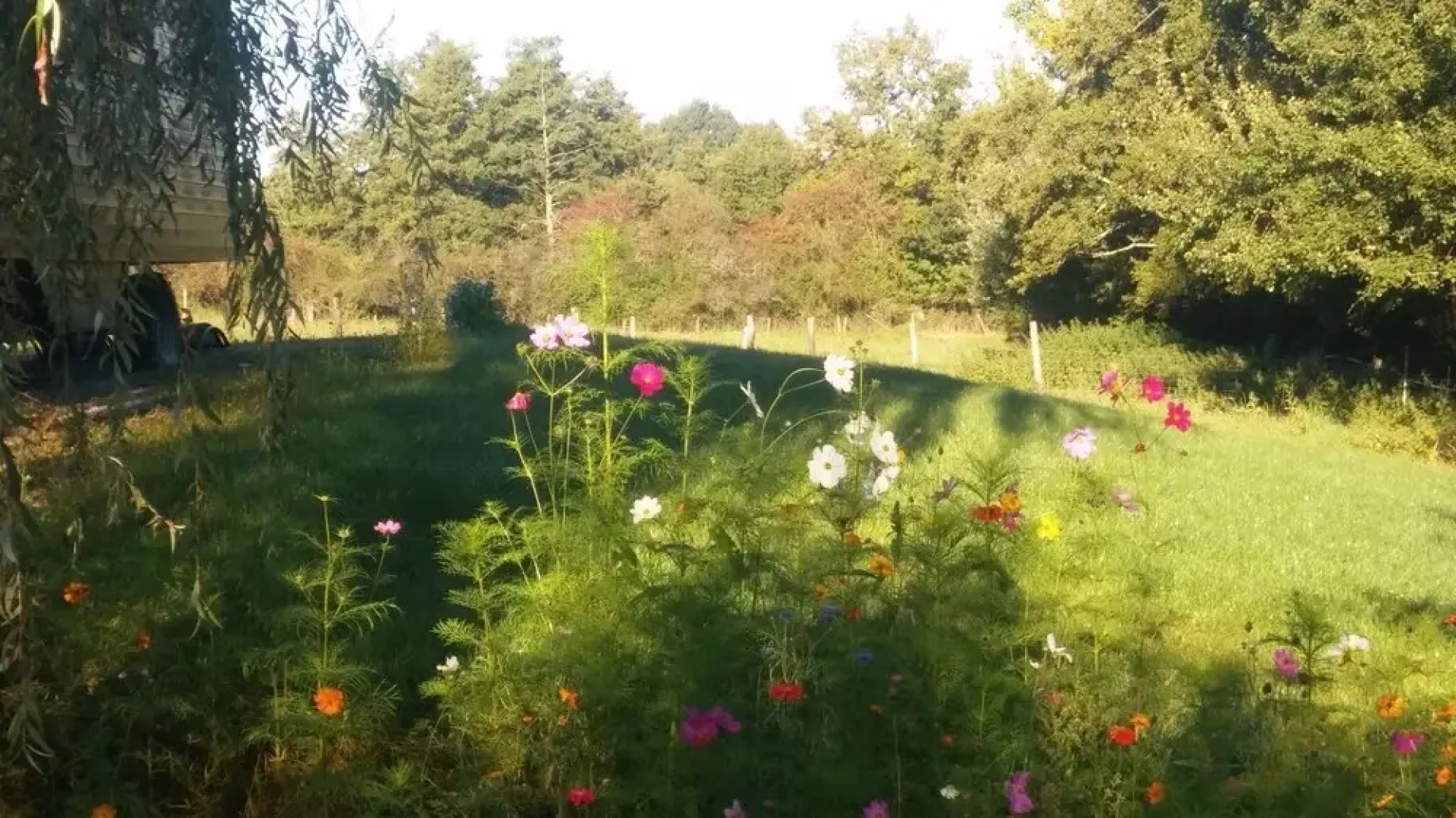 Bungalow With one Bedroom in Nouic, With Furnished Garden