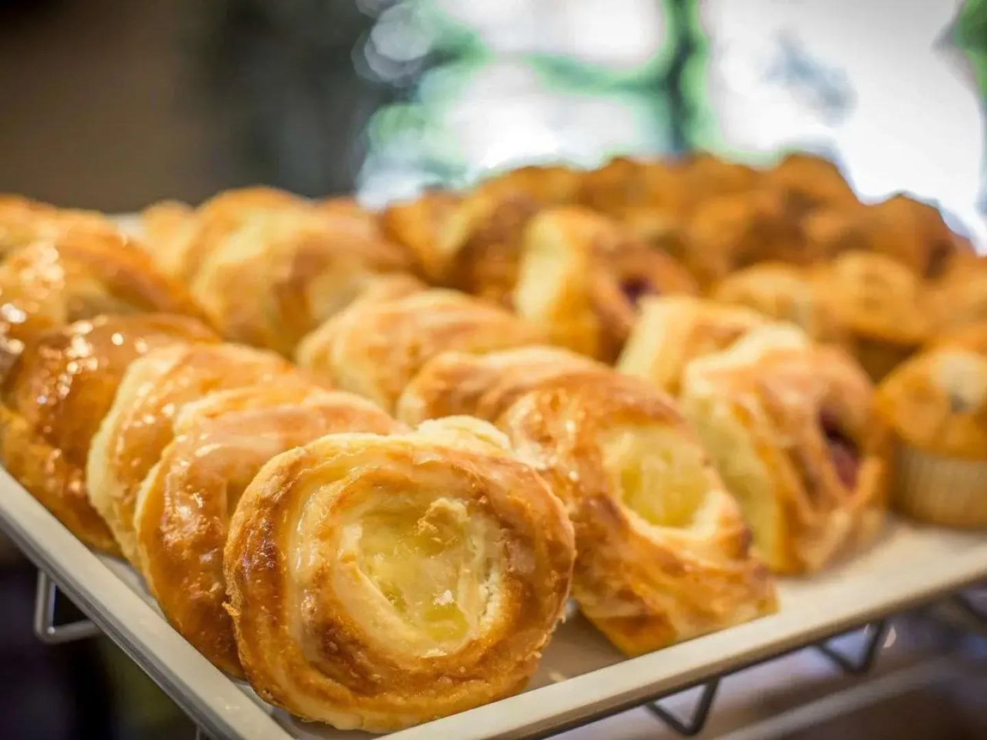 Comfort Suites Nashville near Percy Priest Lake