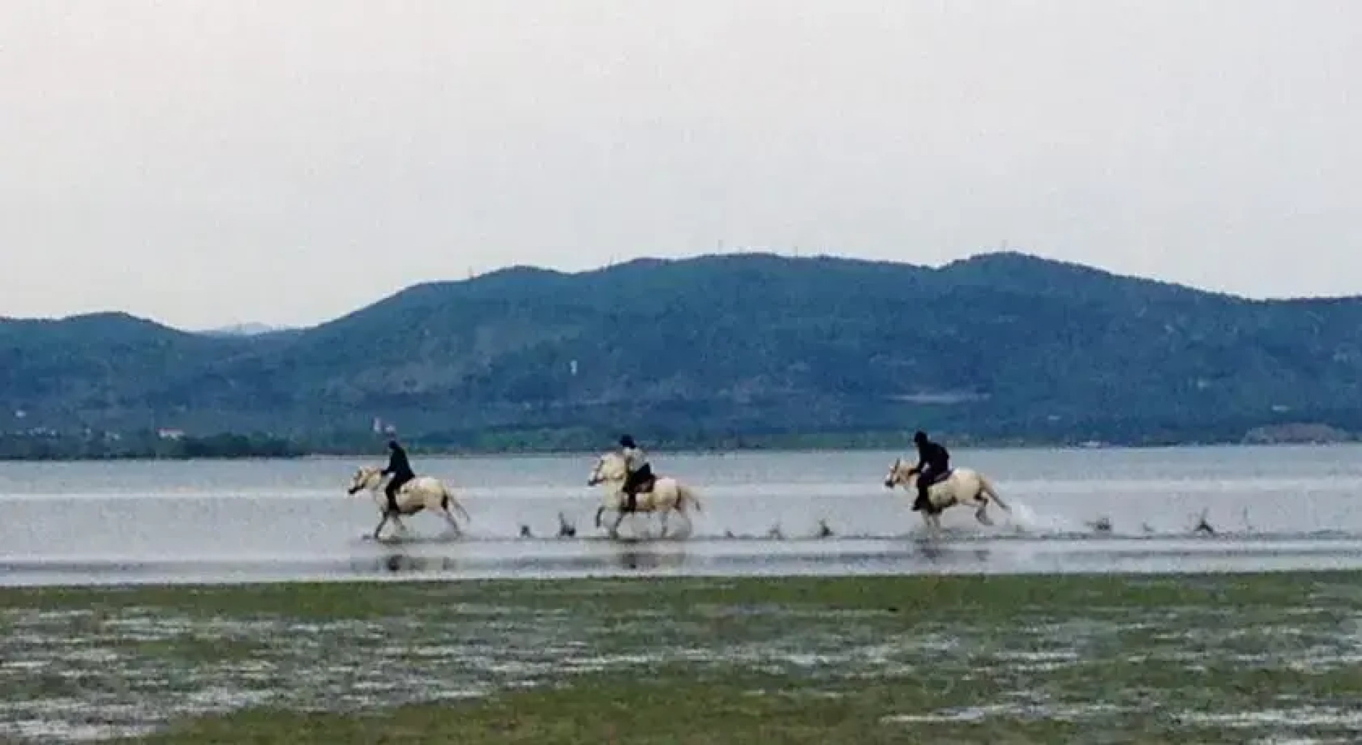 Riserva Naturale Foce dellIsonzo