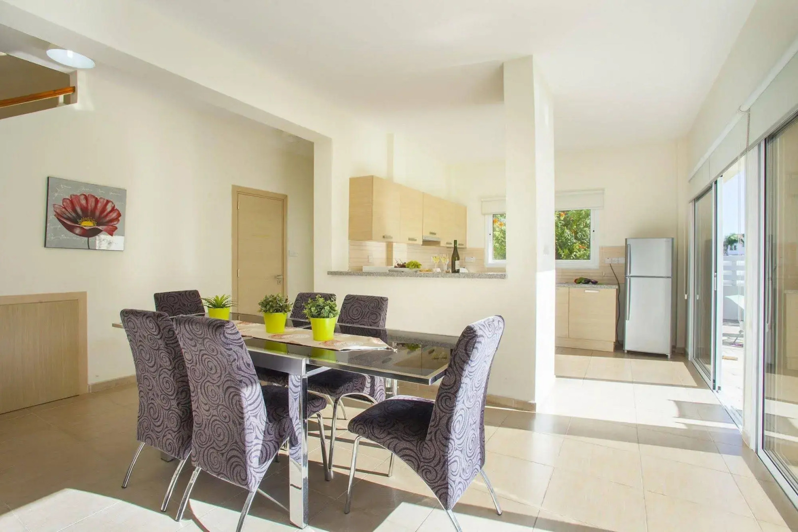 Protaras Delfini Villas