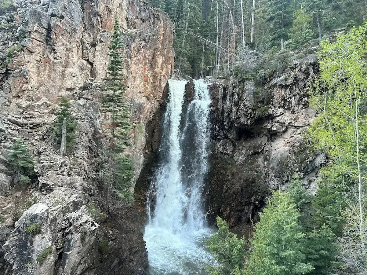 Moore's Old Pine Inn