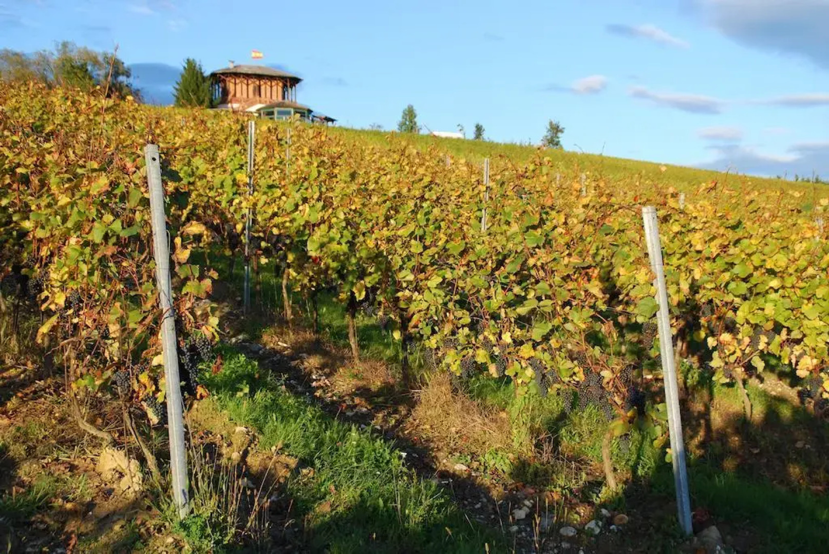 Panoramahof Ziegler