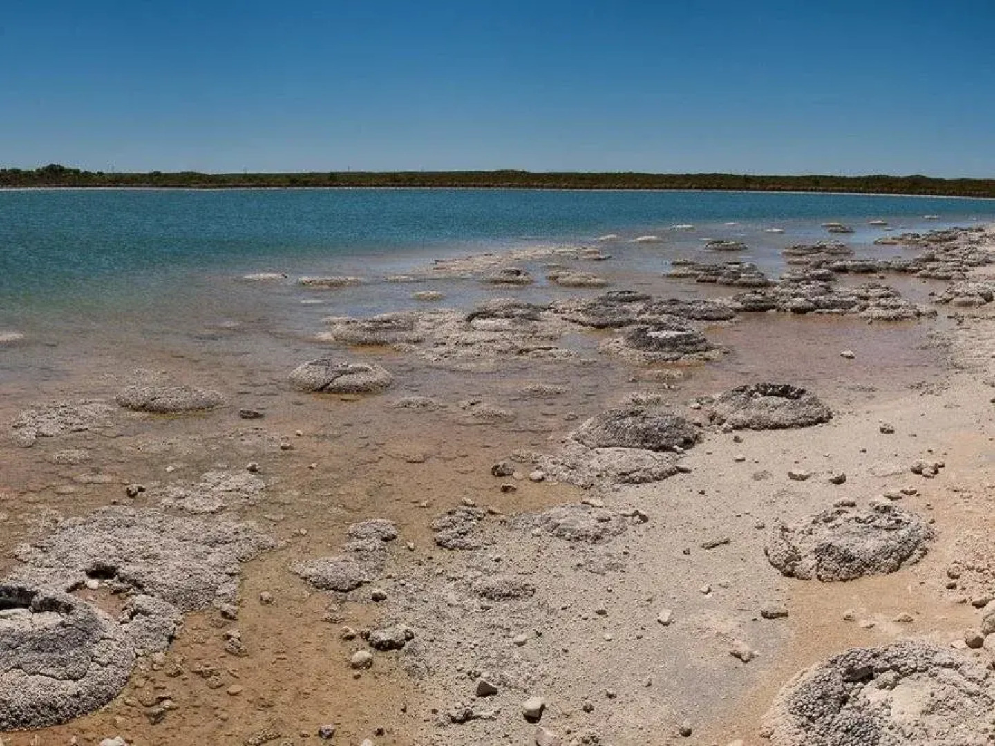 Cervantes Holiday Homes