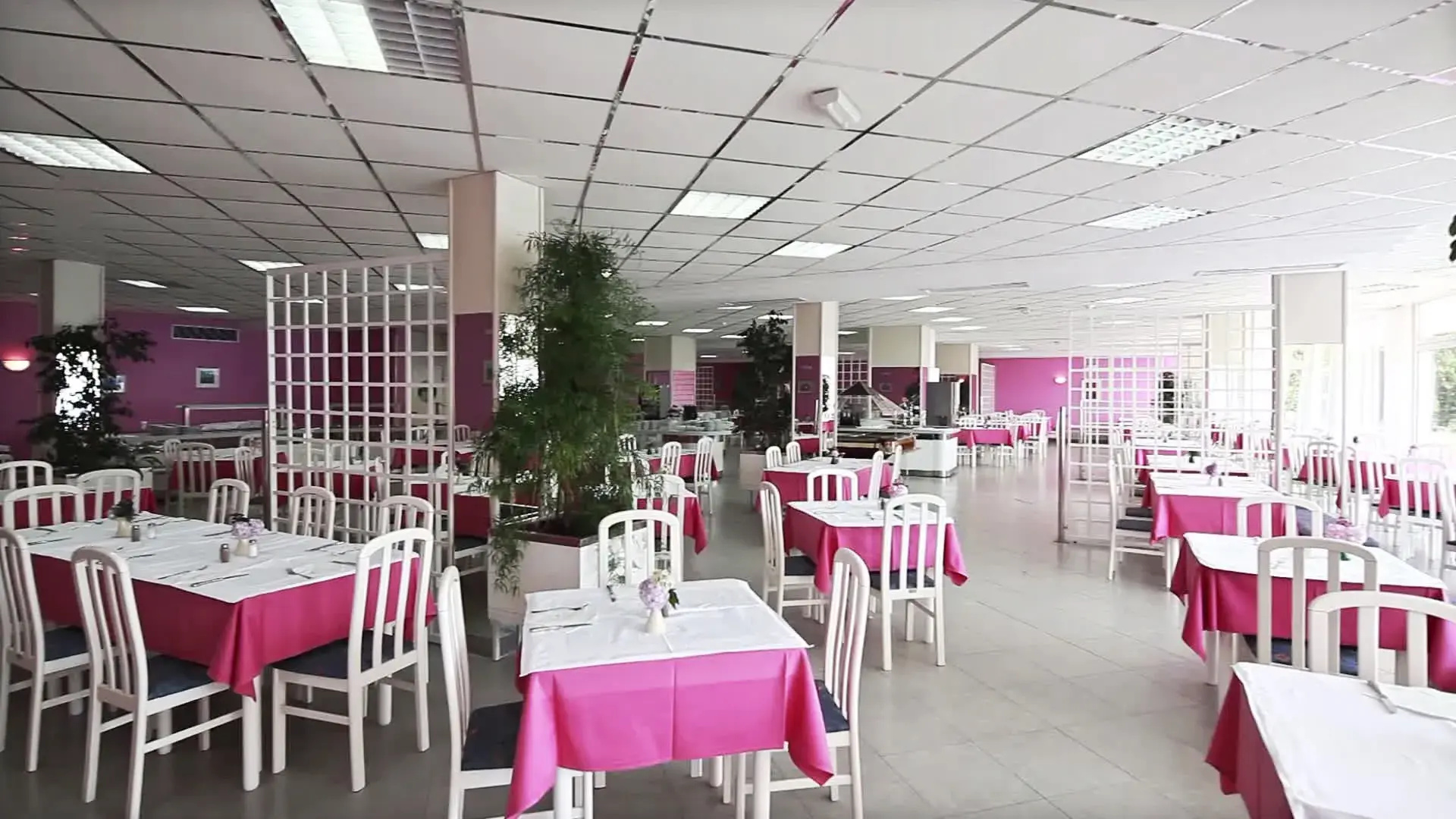 Hotel Osmine