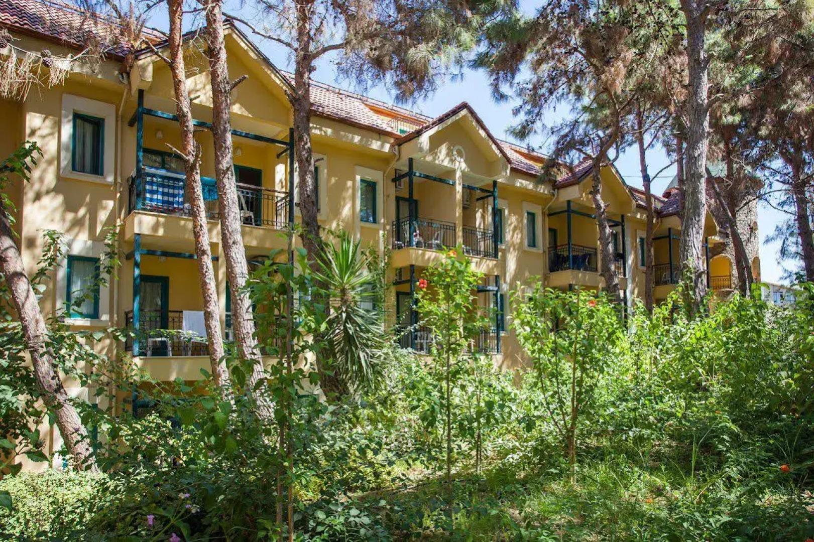 Отель Dosi - All Inclusive