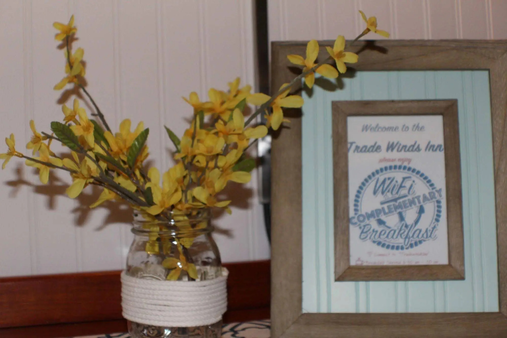 Trade Winds on the Bay