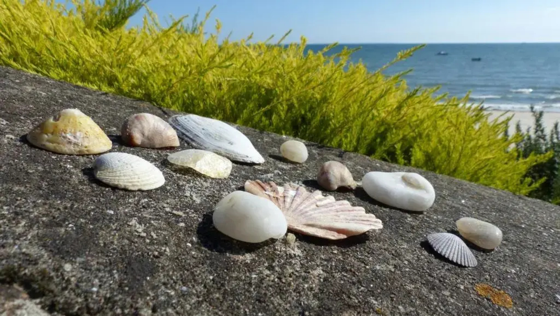 Domaine de la Pointe de Kerhostin