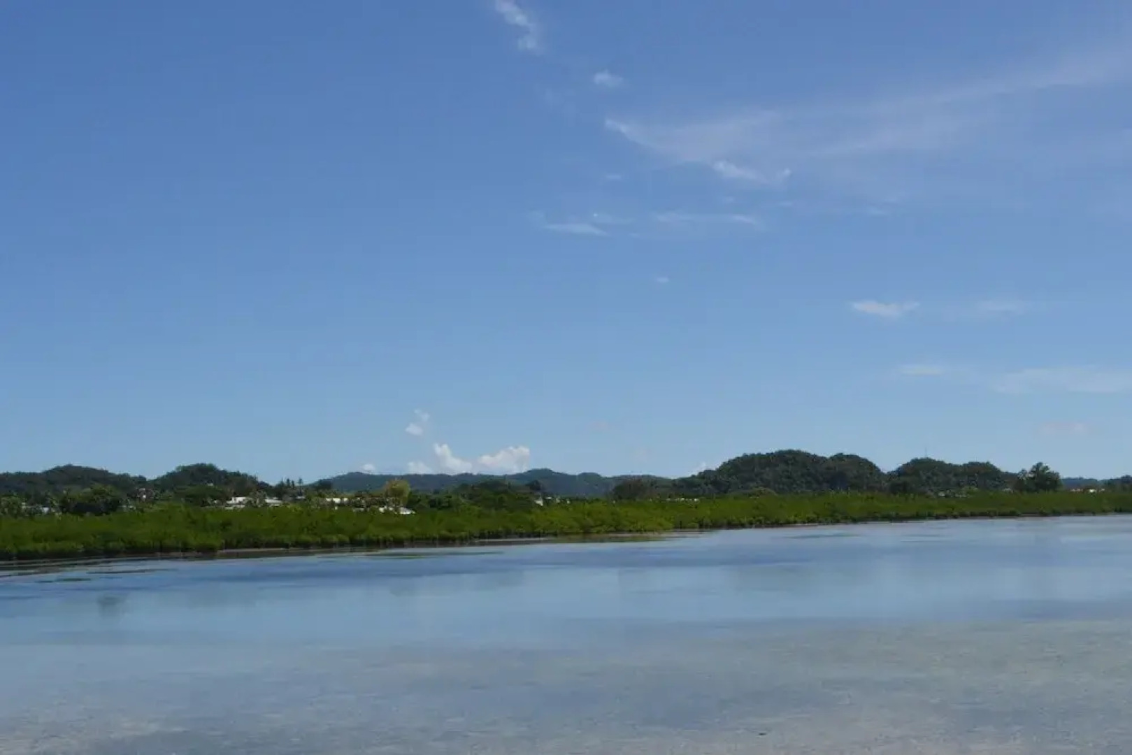 West Plaza Coral Reef