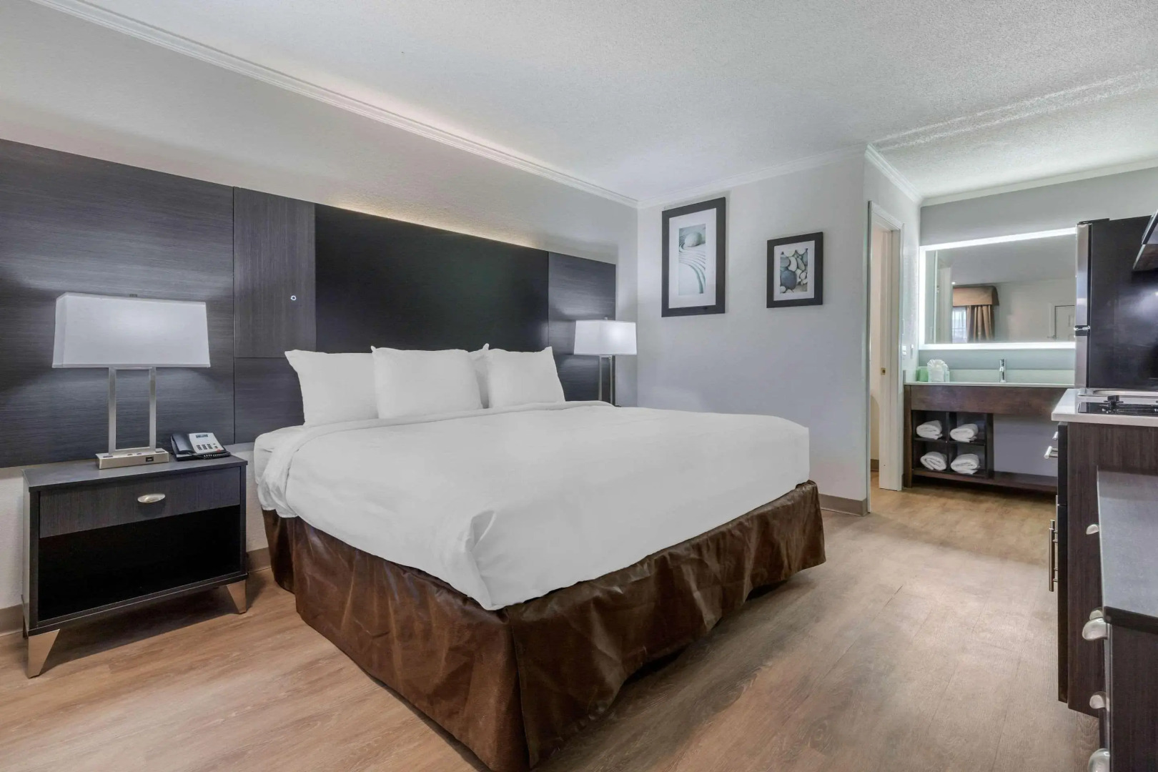 Suburban Studios at the University