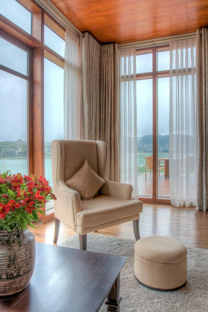 Tea Plant Nuwara Eliya