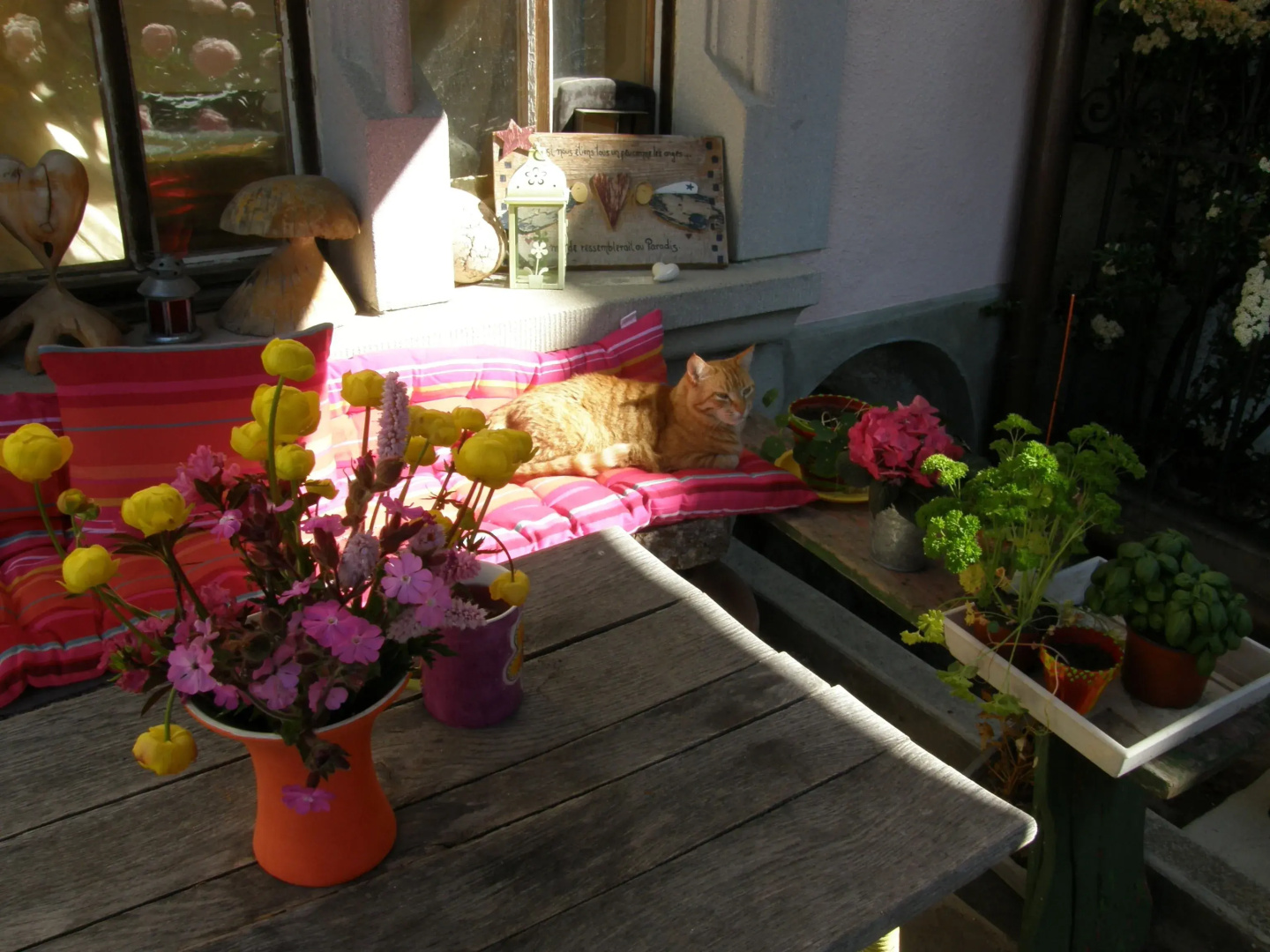 Au Soleil de Gruyères Chez Chantal