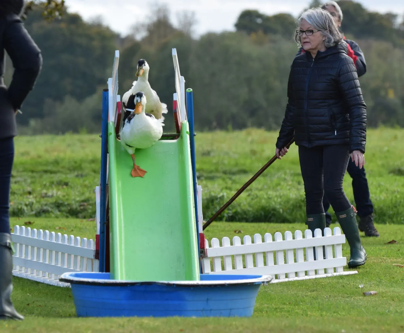 Lucknam Park, Emblems Collection