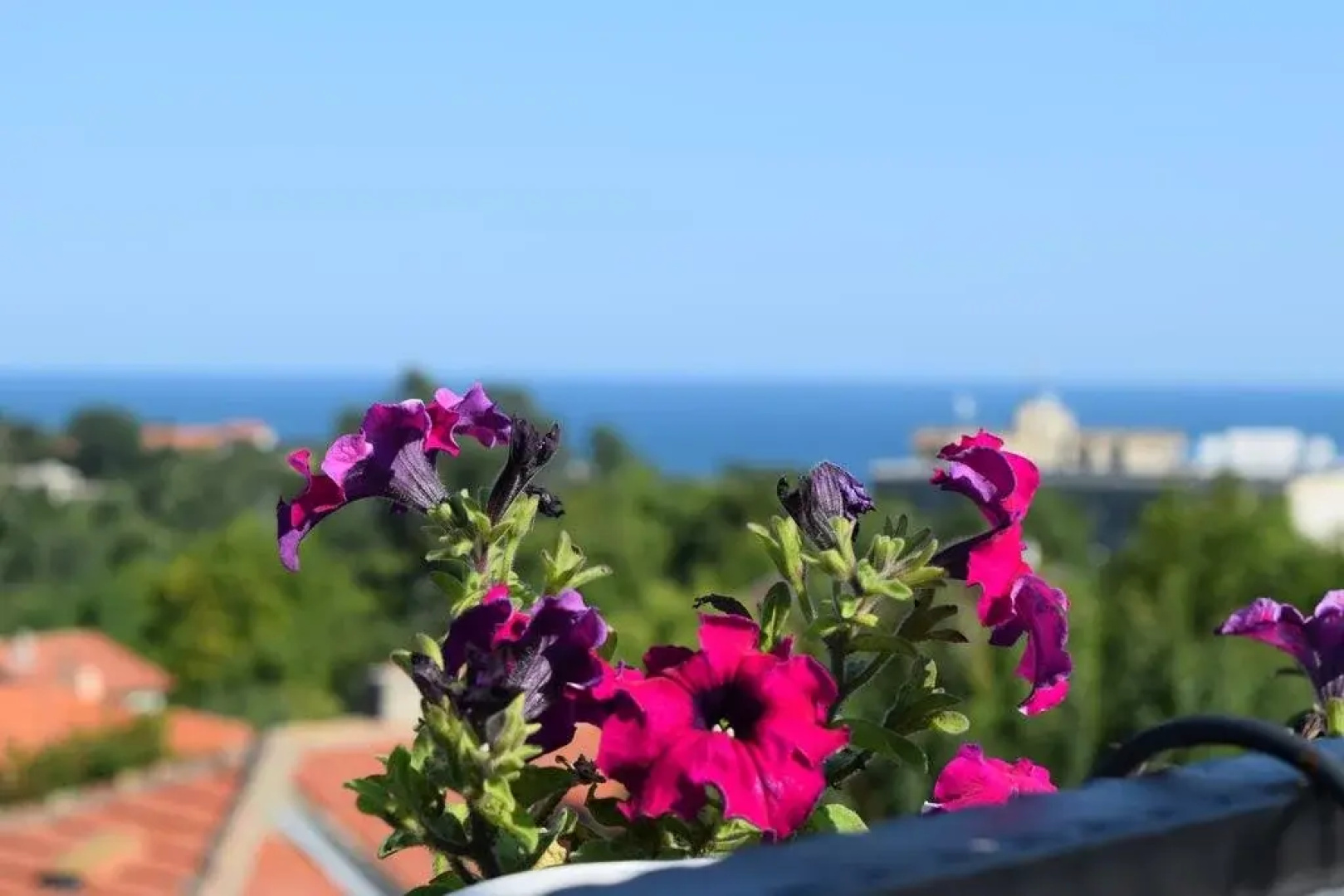 Villa Rosa Dei Venti