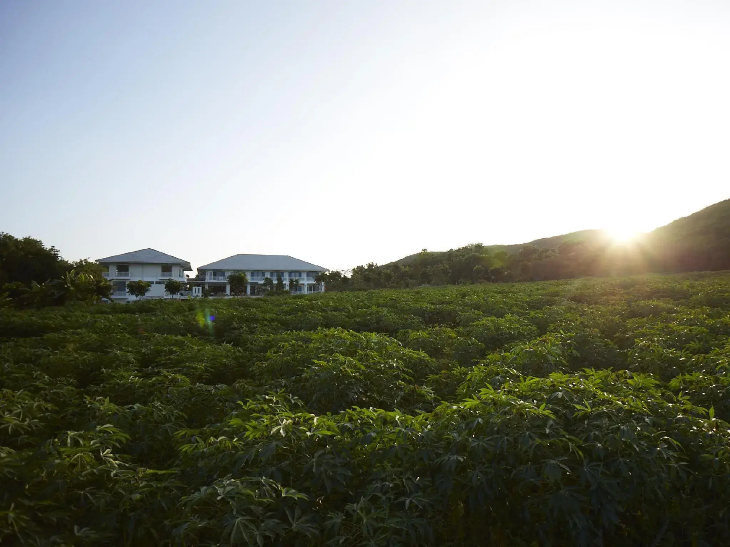 Santosha- Health&Lifestyle Resort