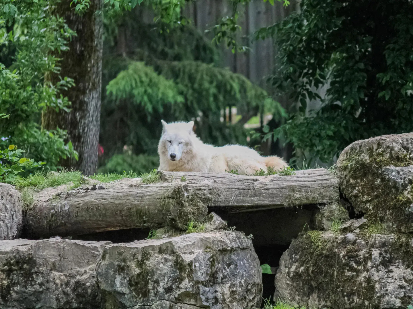 Premium Apartment in Saint-quirin With Garden