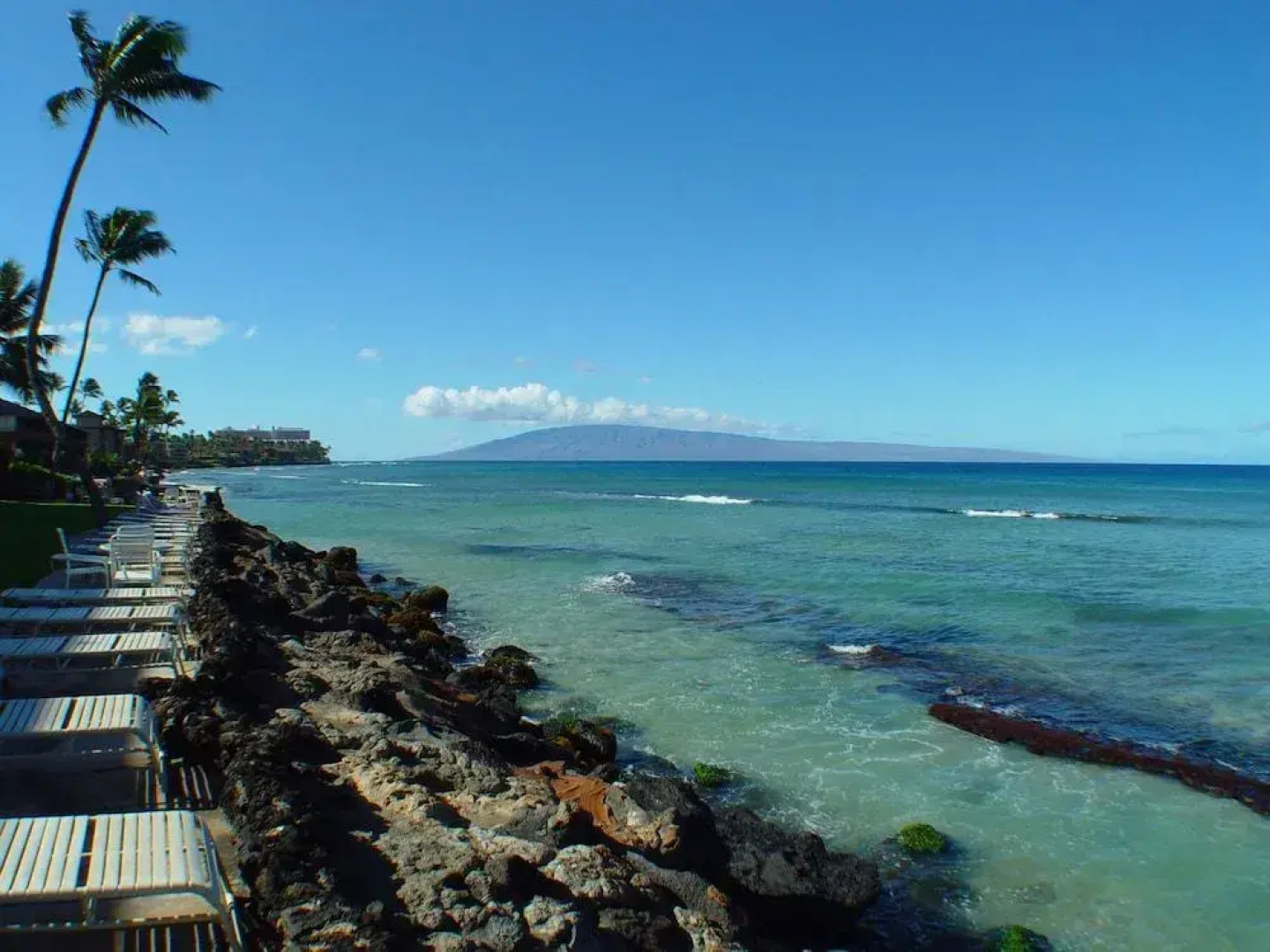 Kaleialoha #115 1 Bedroom 1 Bathroom Condo by Redawning