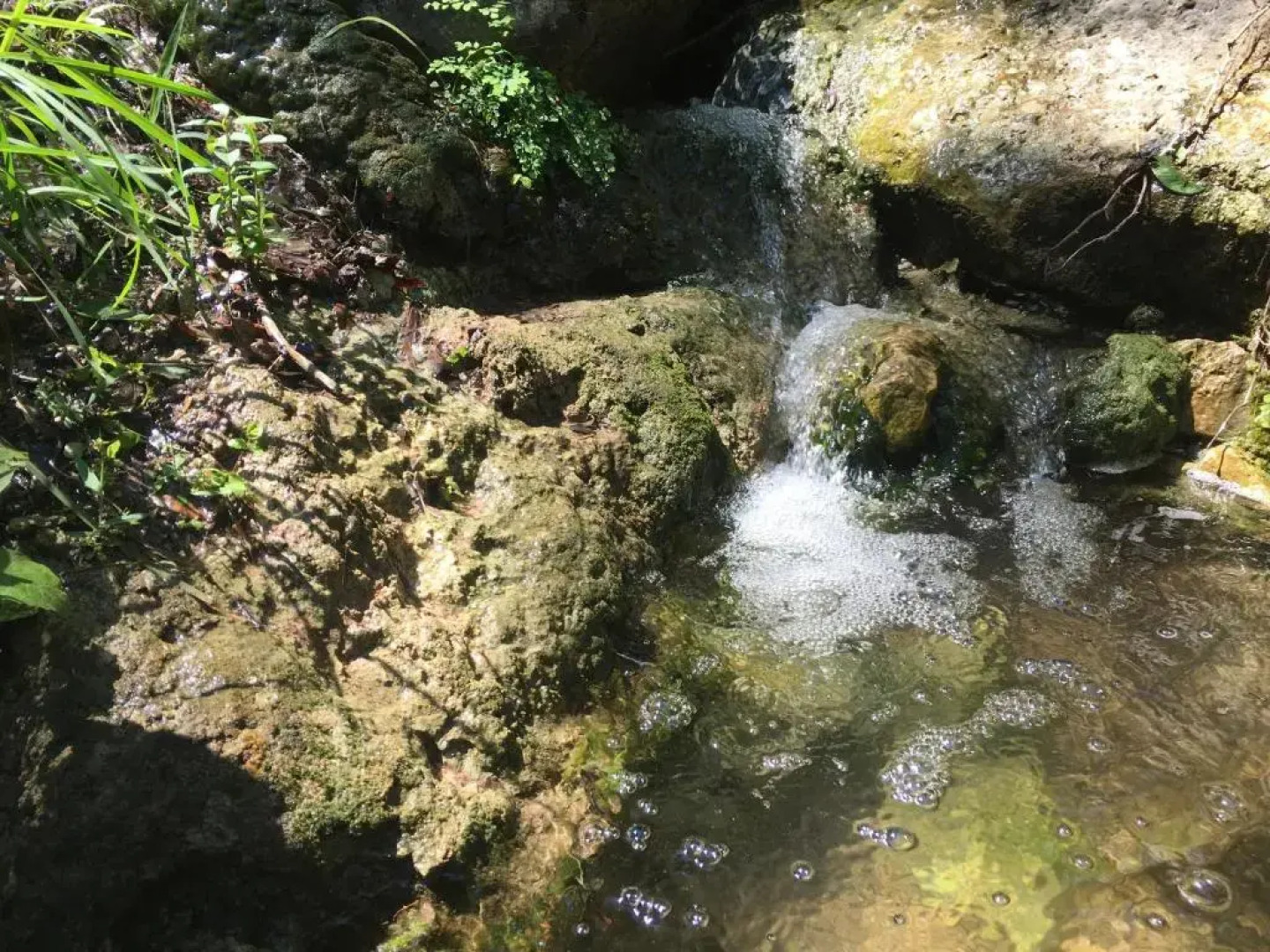 Lake Austin Luxury Guesthouse Cabin Retreat & Modern Farmhouse Suite