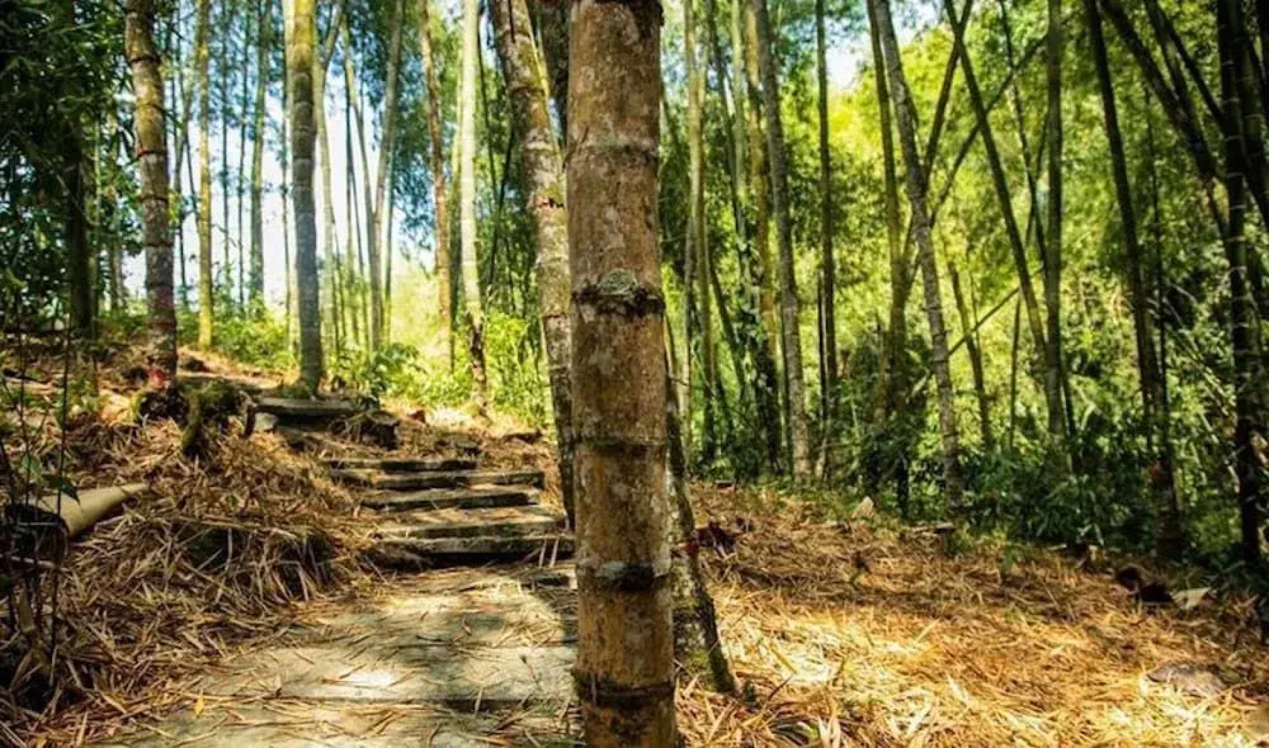 Quindio Close To Quimbaya