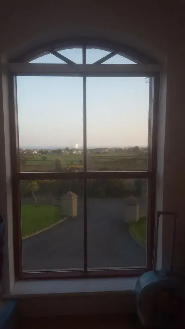 The Views