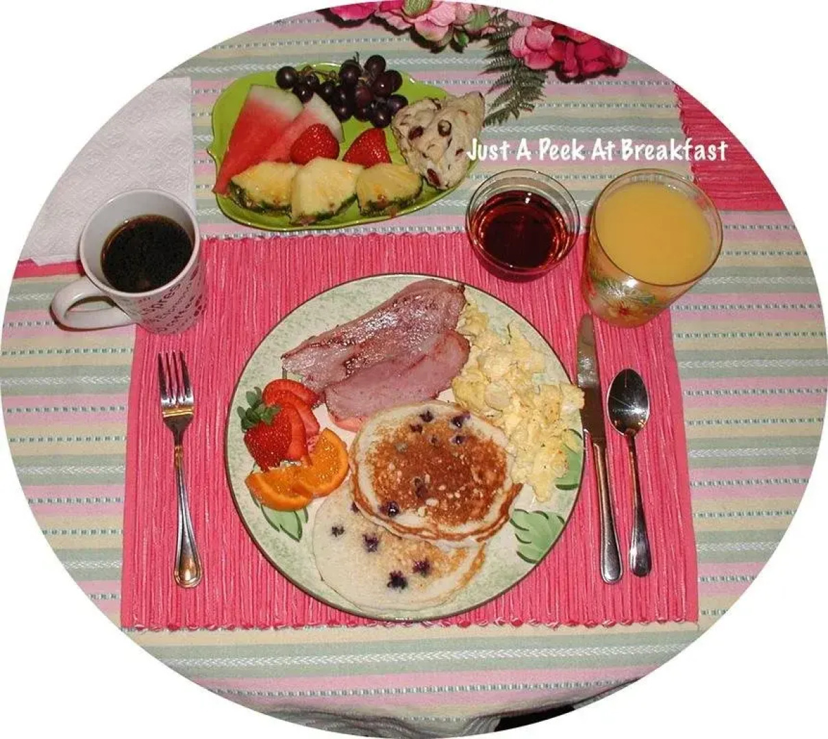 Dogs Are Welcome Studio Suite