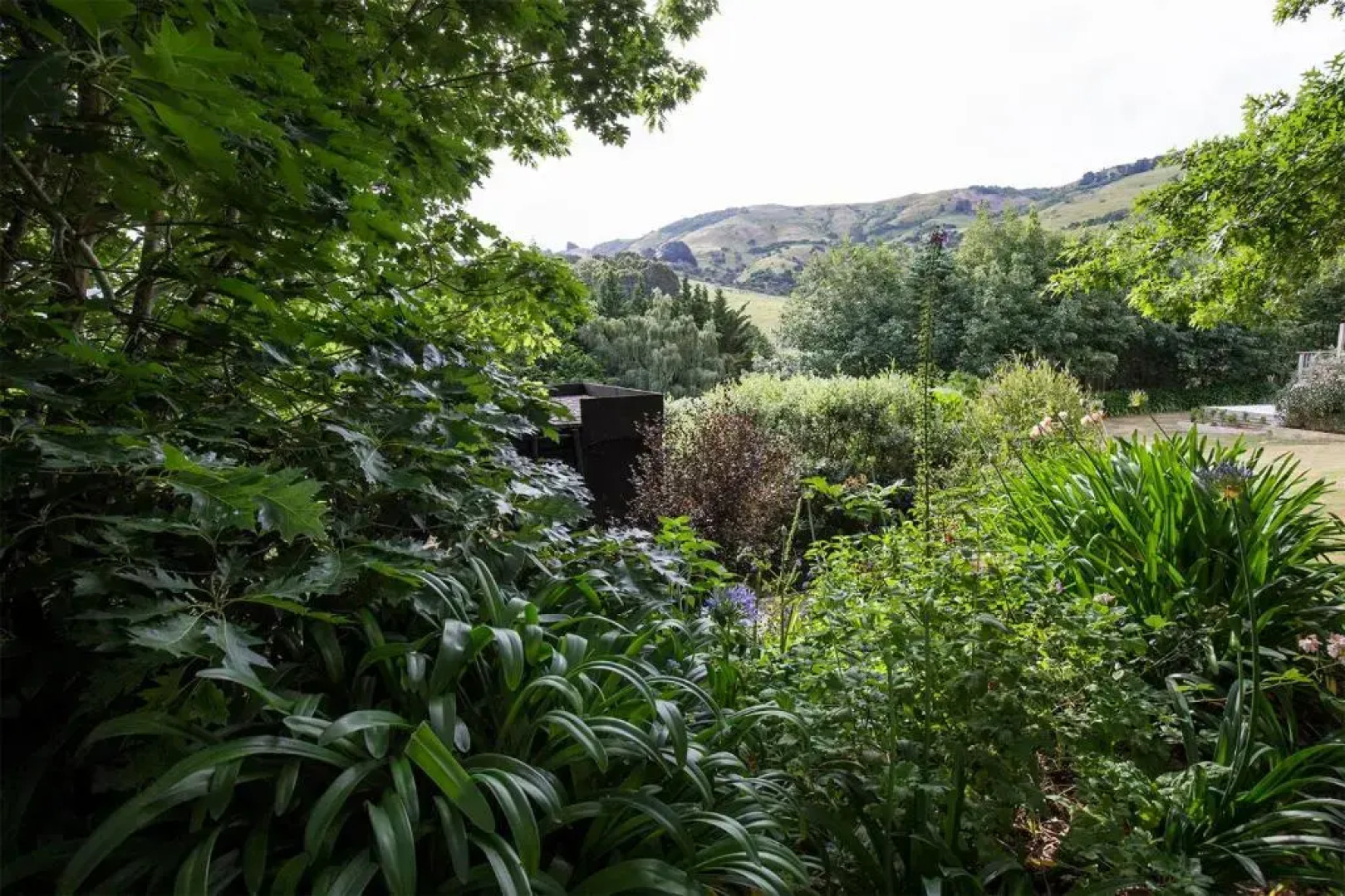 Bellbird Guest Accommodation