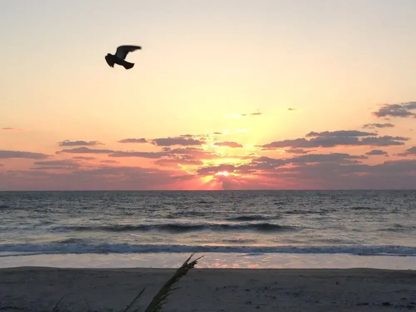 Ocean Front Paradise Resort