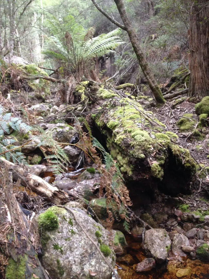 Silver Ridge Retreat