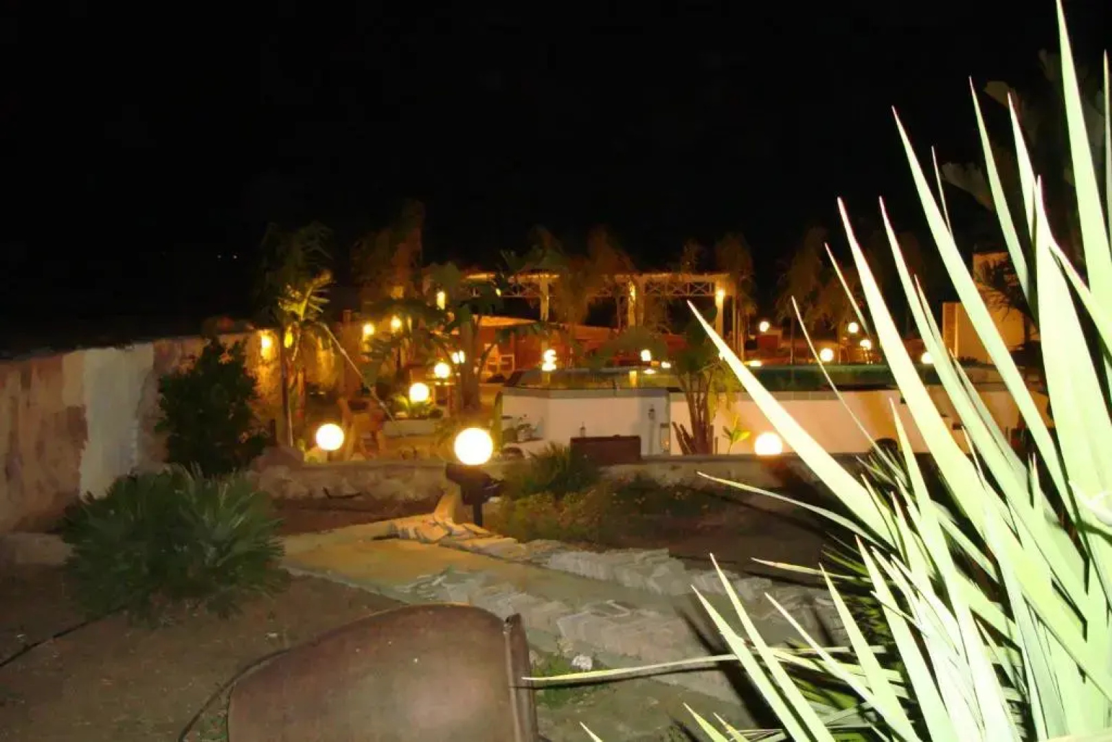 Villa Delle Palme Delfina