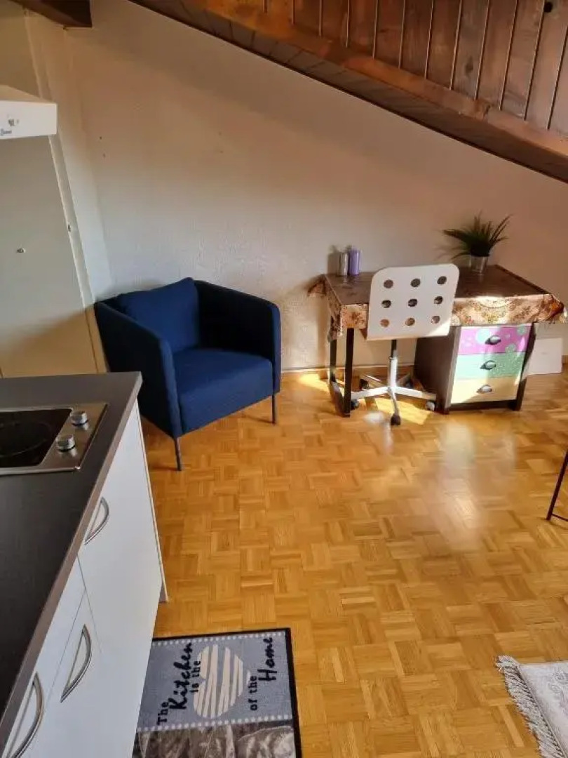 Momo's appartement - in center of fribourg!