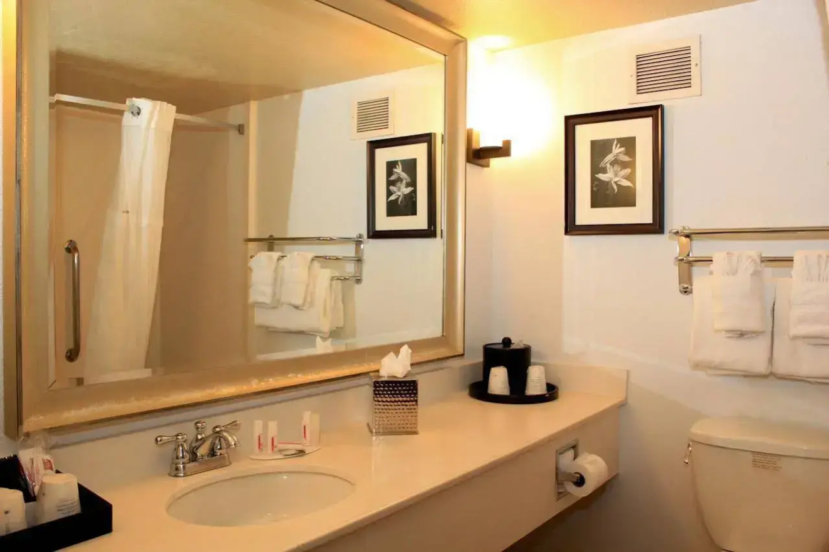 Delta Hotels Denver Thornton