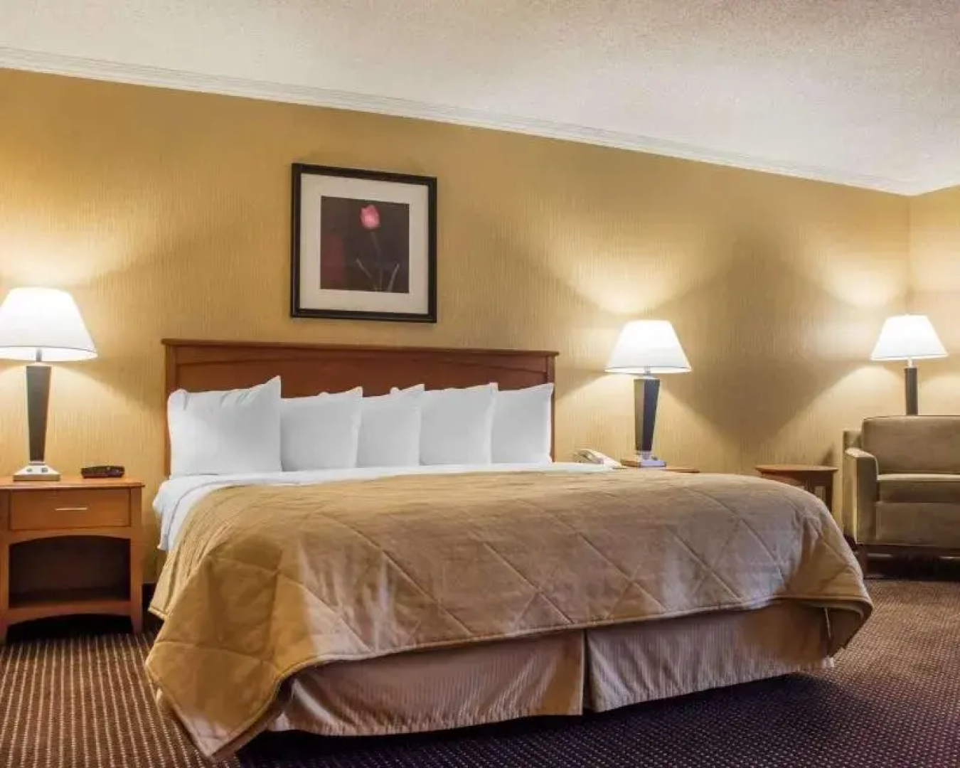 Quality Inn & Suites Riverfront