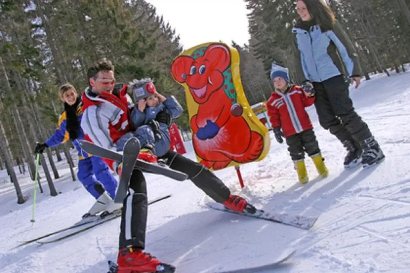 Hotel Pension Hochficht