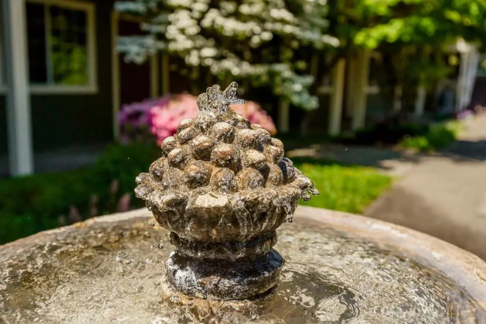 The Jack London Lodge