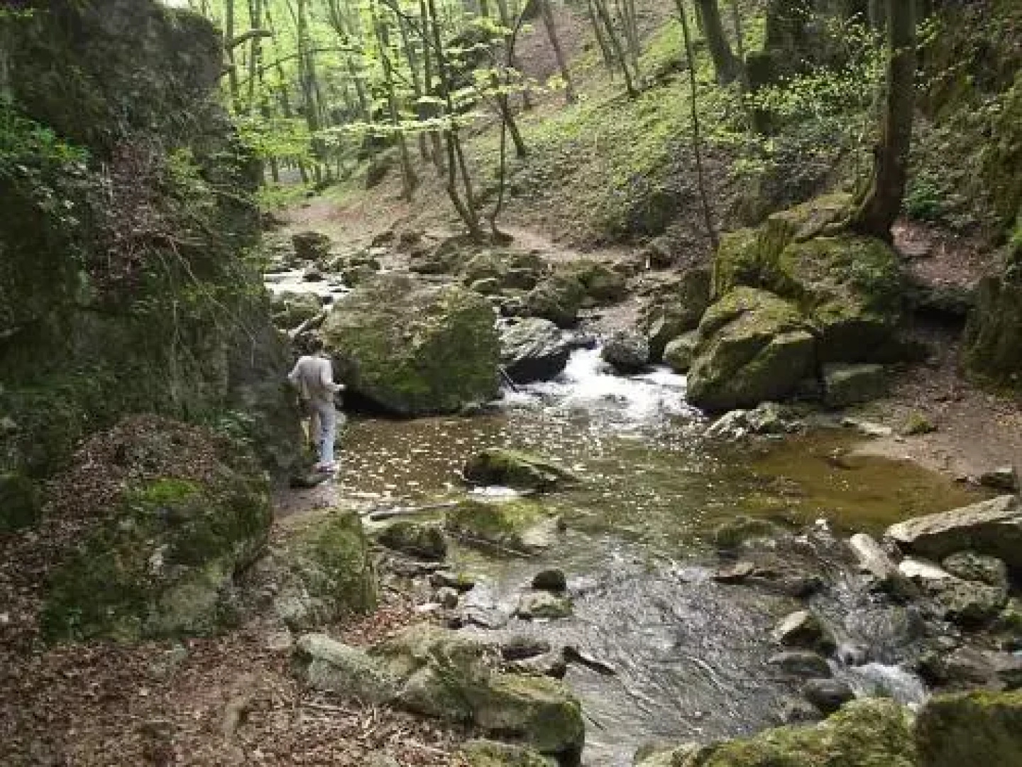 Bakonyi Margaréta Vendégház