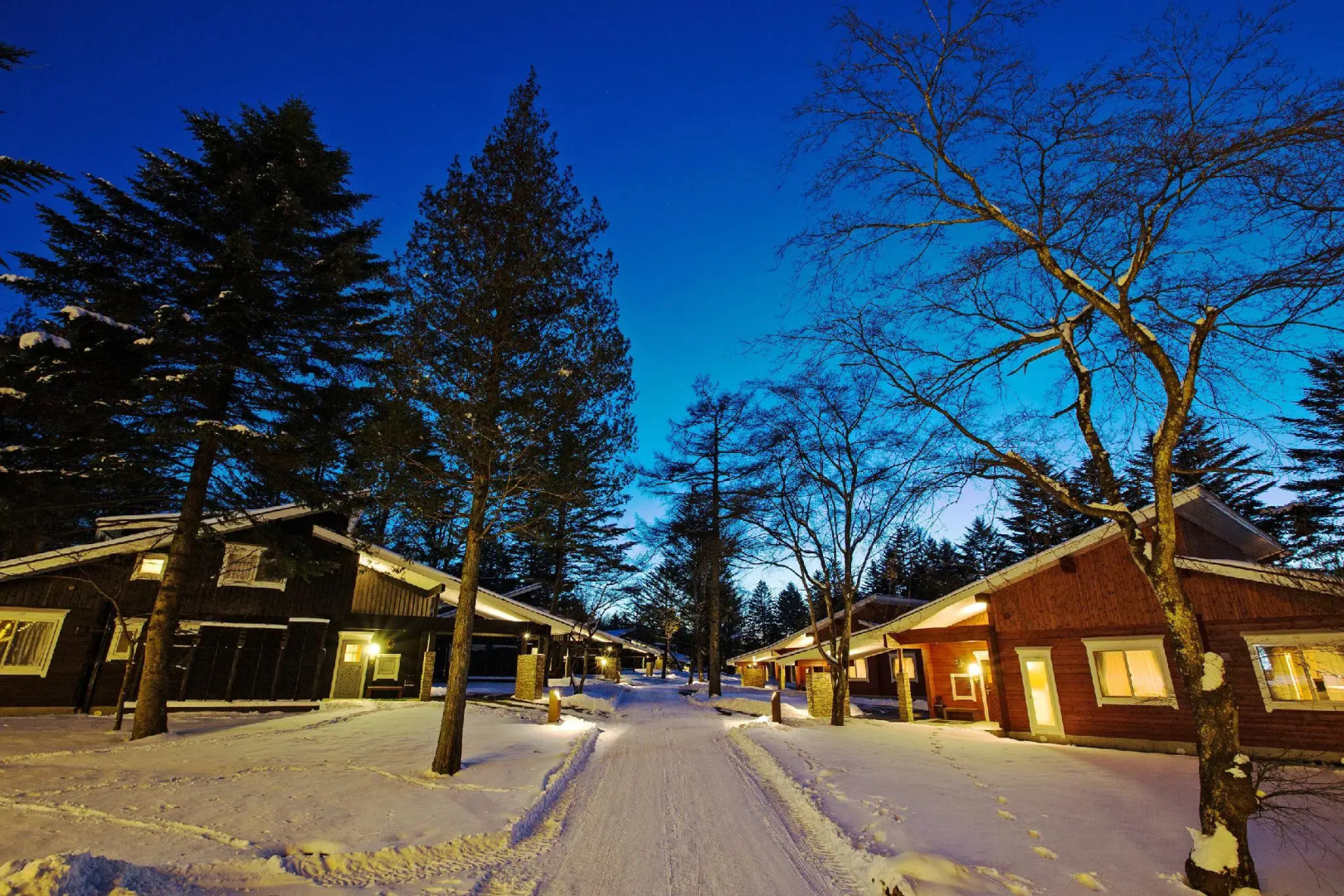 The Prince Villa Karuizawa