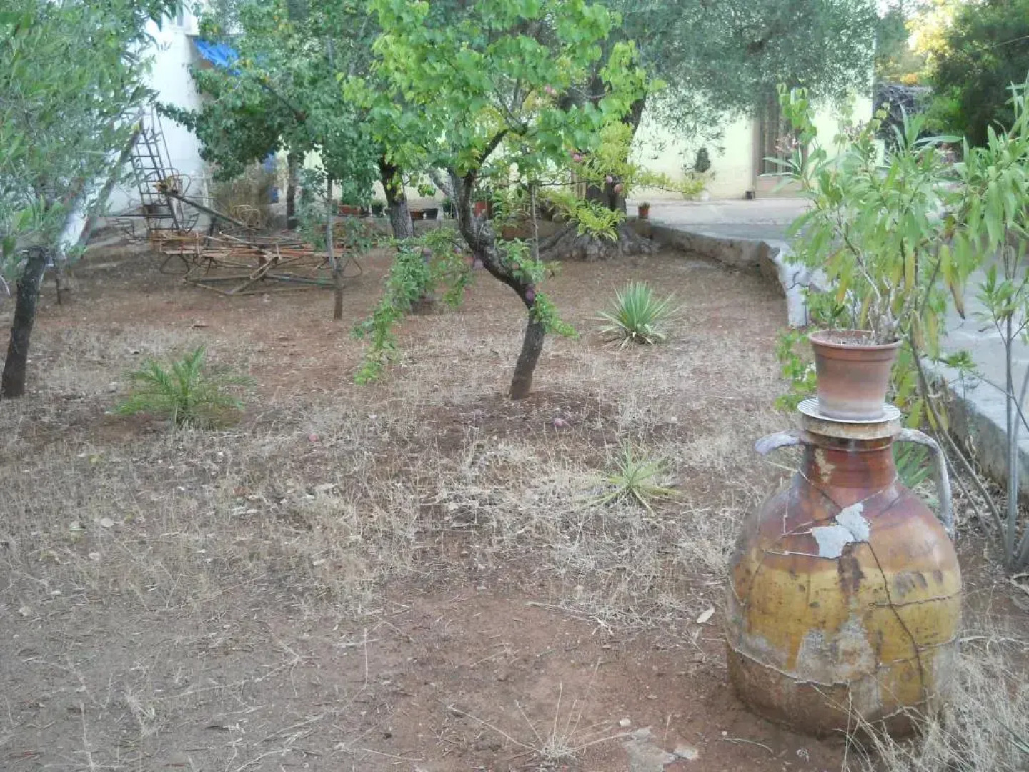 Villa Conte in Salento