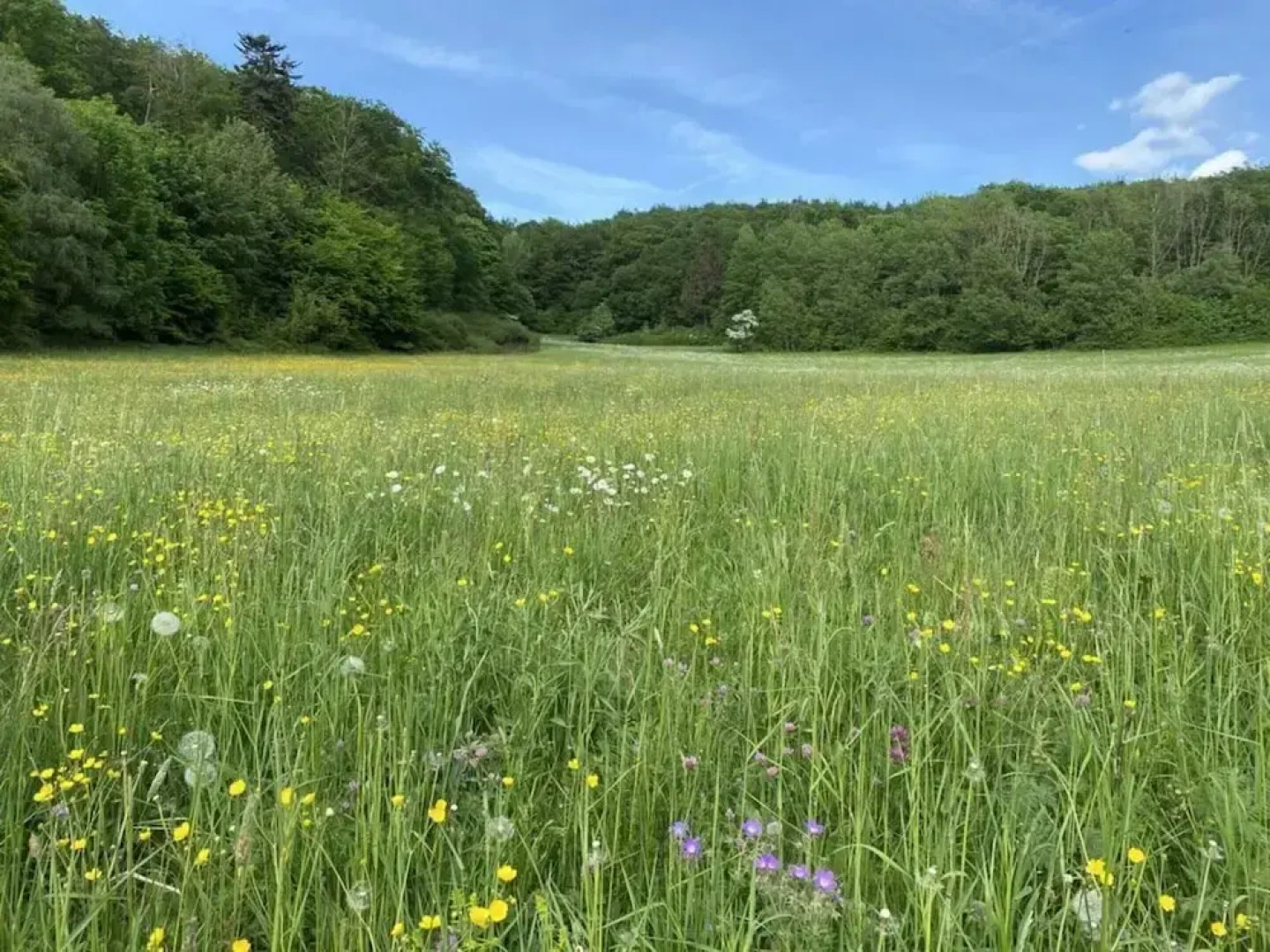 Guest House An der Truse