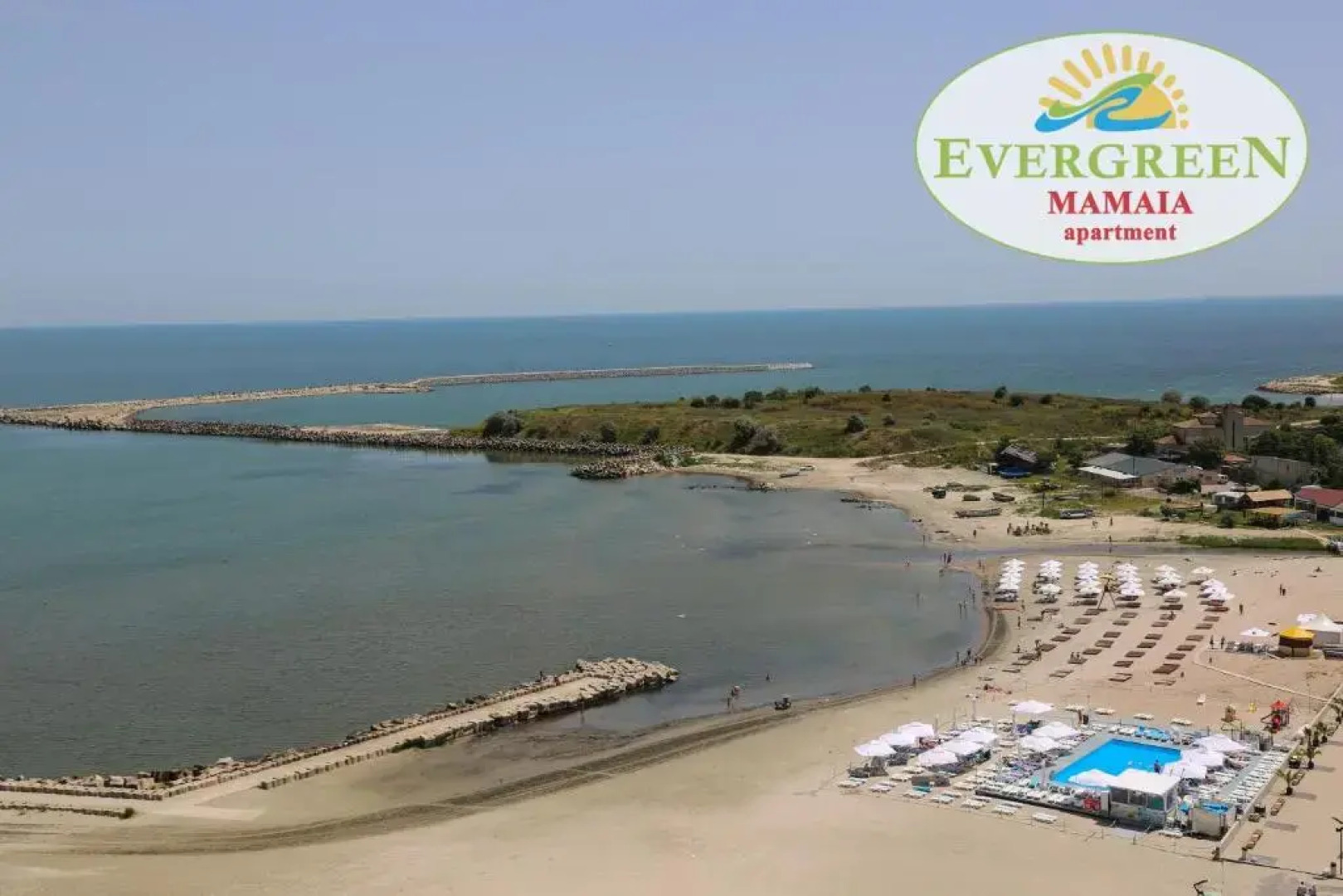 Evergreen Vlas Mamaia