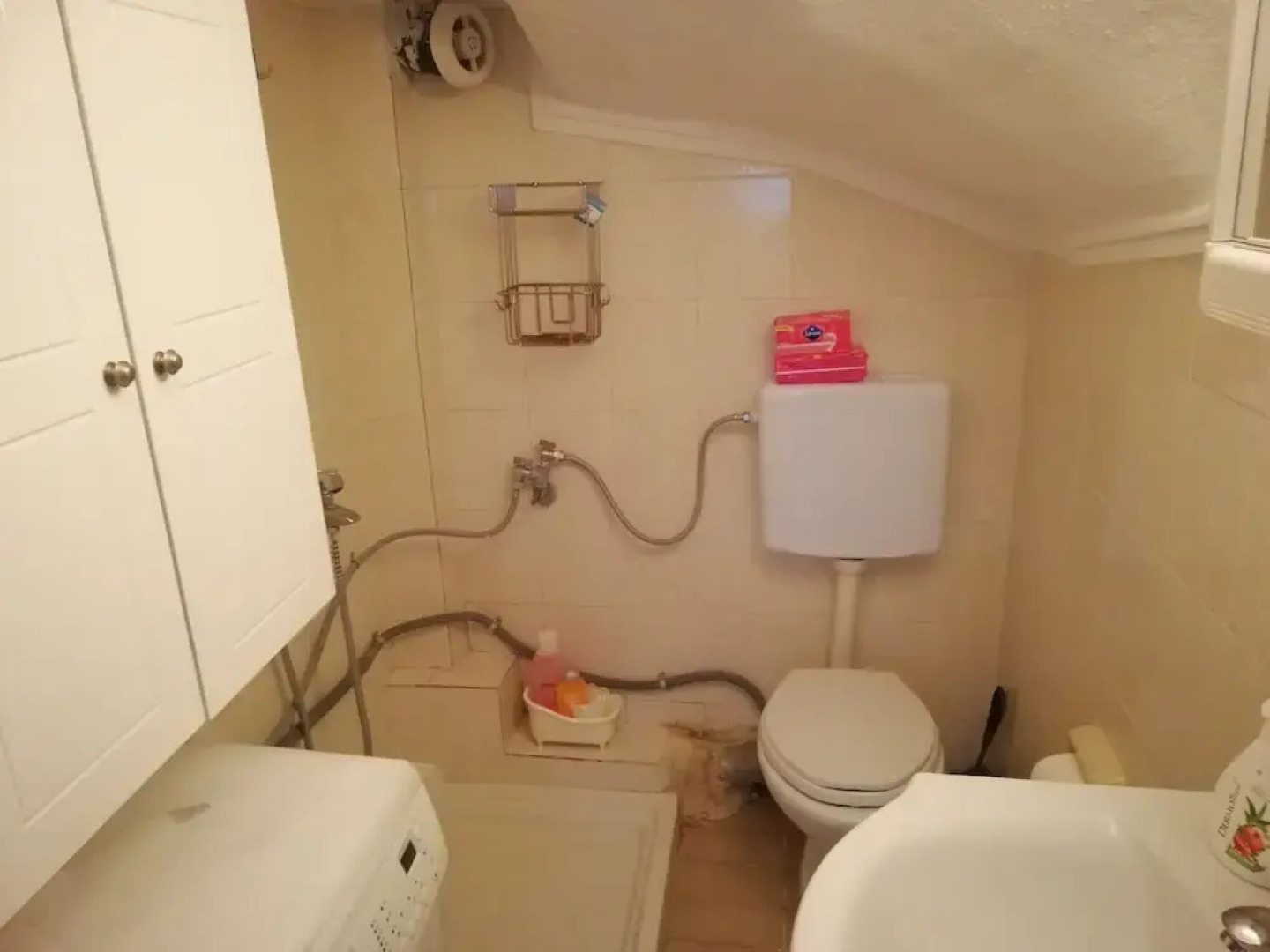 Zoe's Ideal Summer House