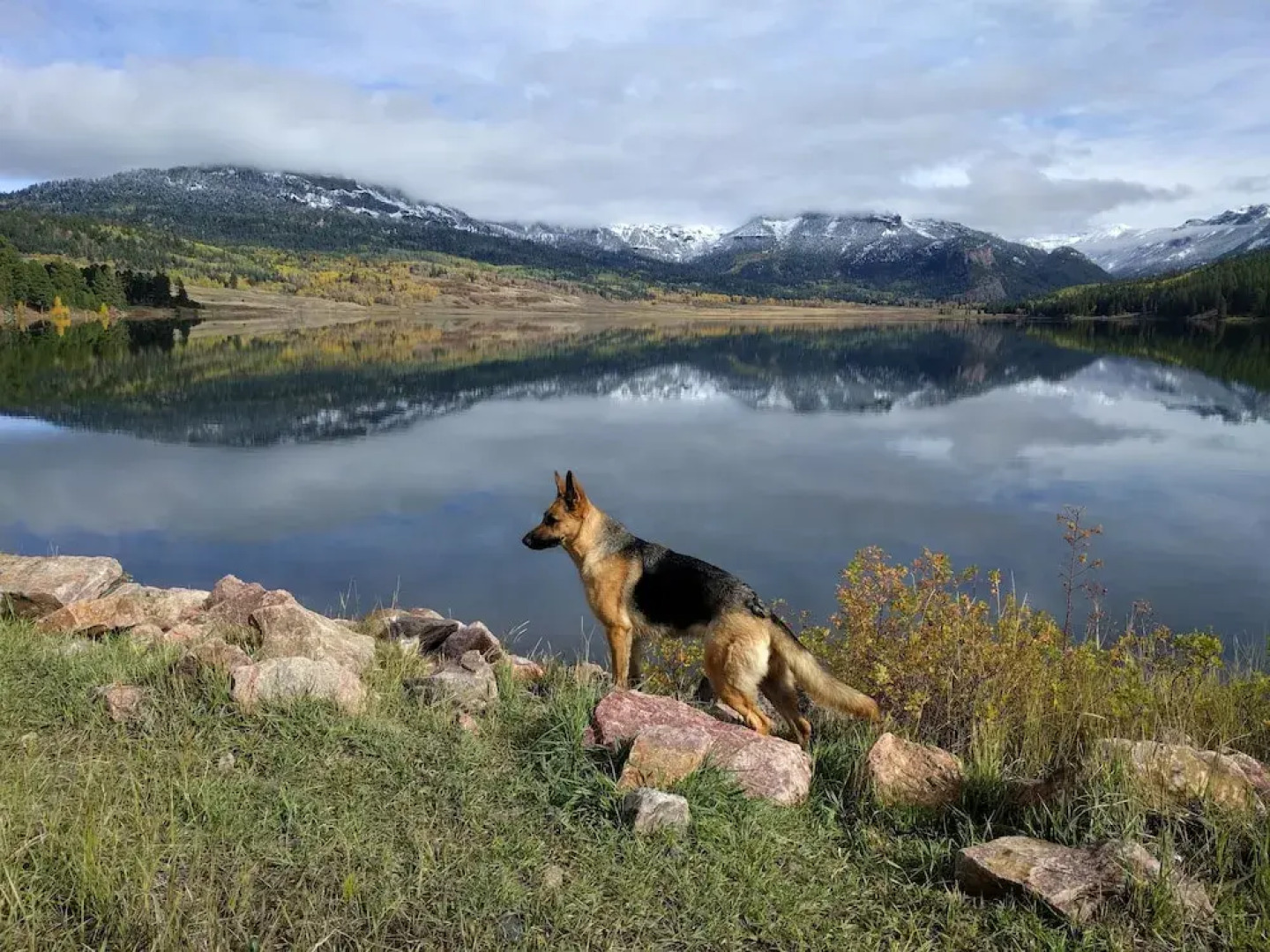 IVACAZ Suites on the Golf Course