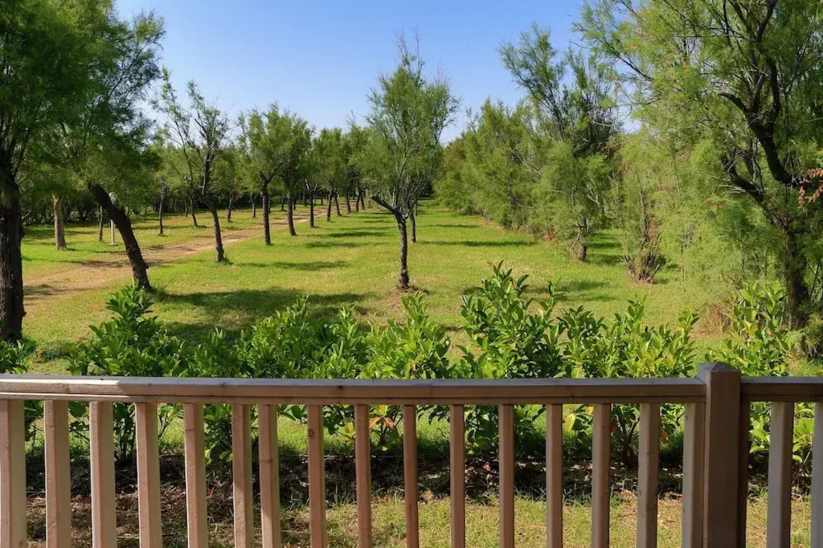 Torre Rinalda Camping Village