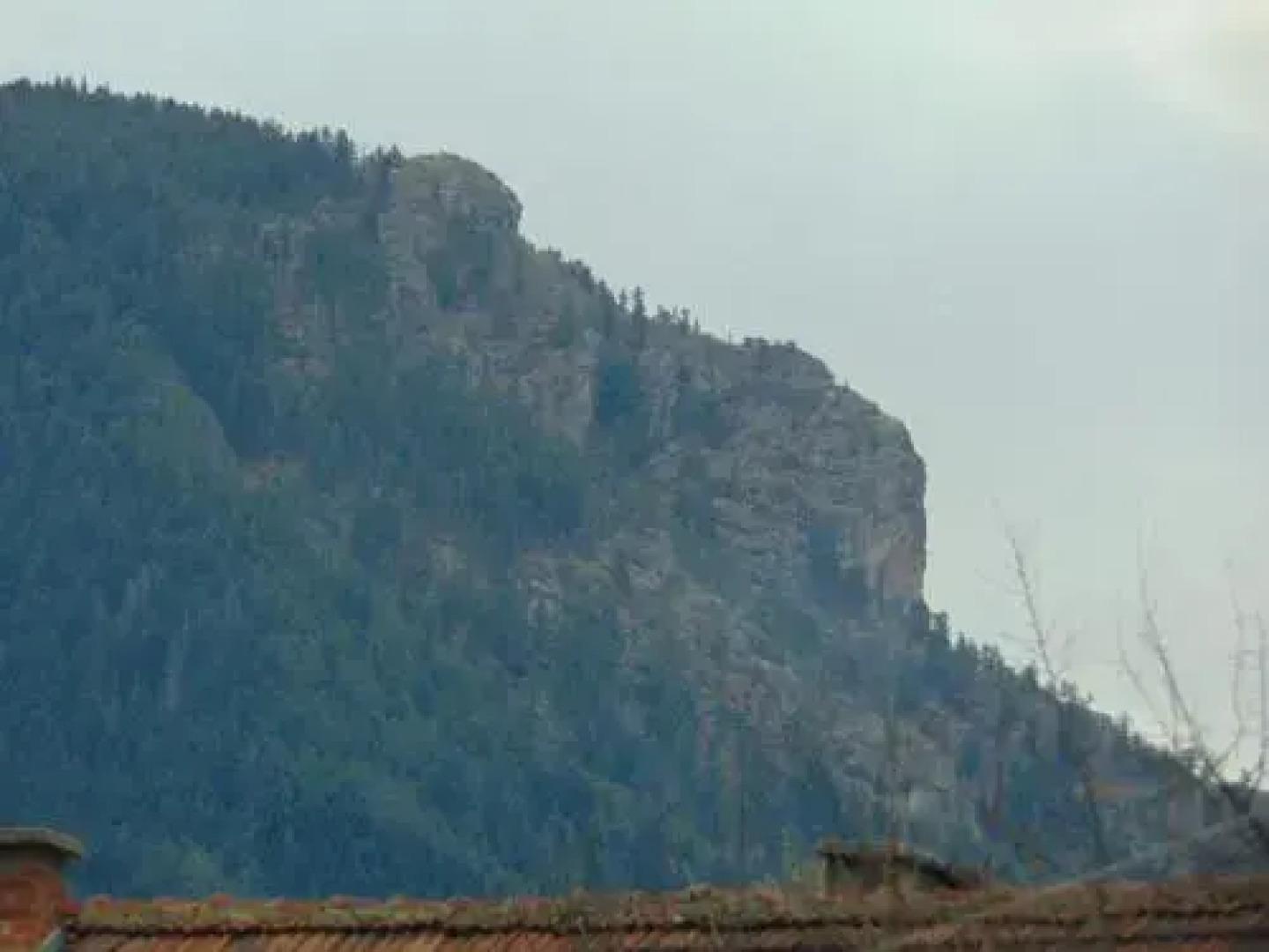 Guest House Diva Reka